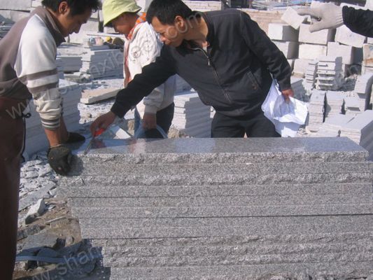 View:Stone Inspection-1009